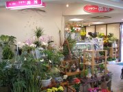 「村松如矢商店」　（石川県白山市）の花屋店舗写真3